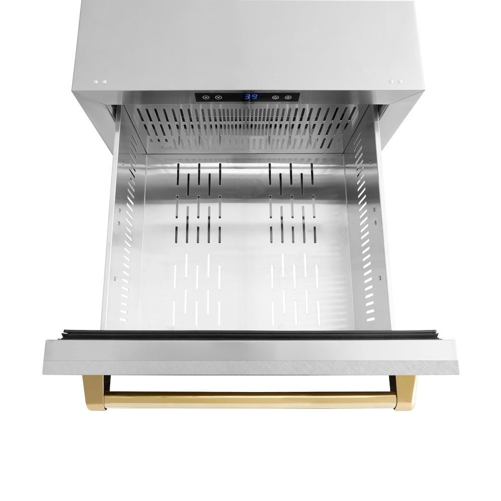 ZLINE Autograph Edition Touchstone 24-inch refrigerator in satin stainless steel and polished gold accents RDSOZ-SN-24-G, detail