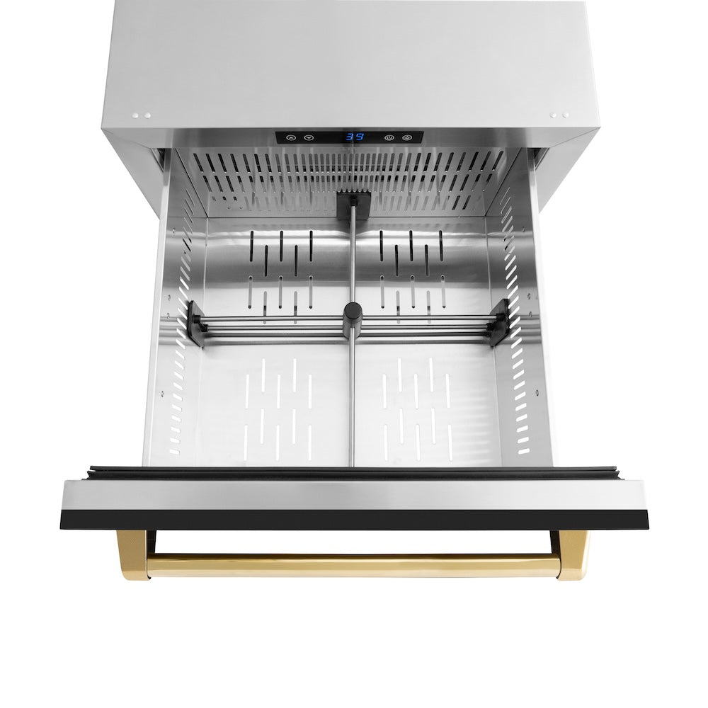 ZLINE Autograph Edition Touchstone 24-inch refrigerator in black matte and polished gold accents RDSOZ-BLM-24-G, detail