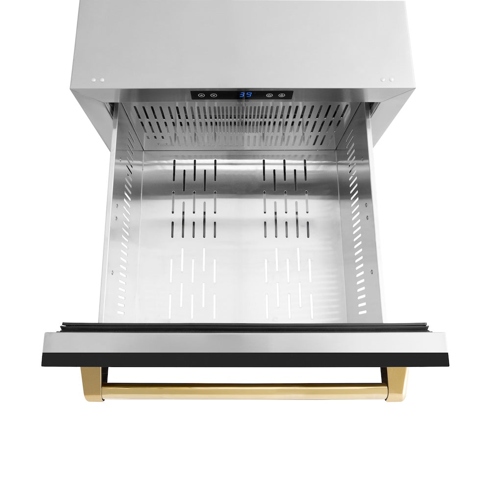 ZLINE Autograph Edition Touchstone 24-inch refrigerator in black matte and polished gold accents RDSOZ-BLM-24-G, detail