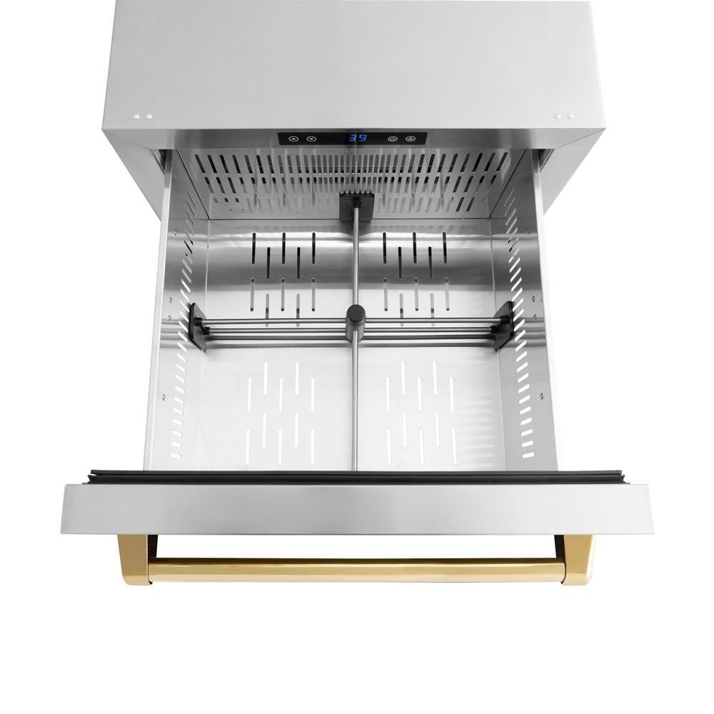 ZLINE Autograph Edition Touchstone 24-inch refrigerator in stainless steel and polished gold accents RDSOZ-ST-24-G, detail