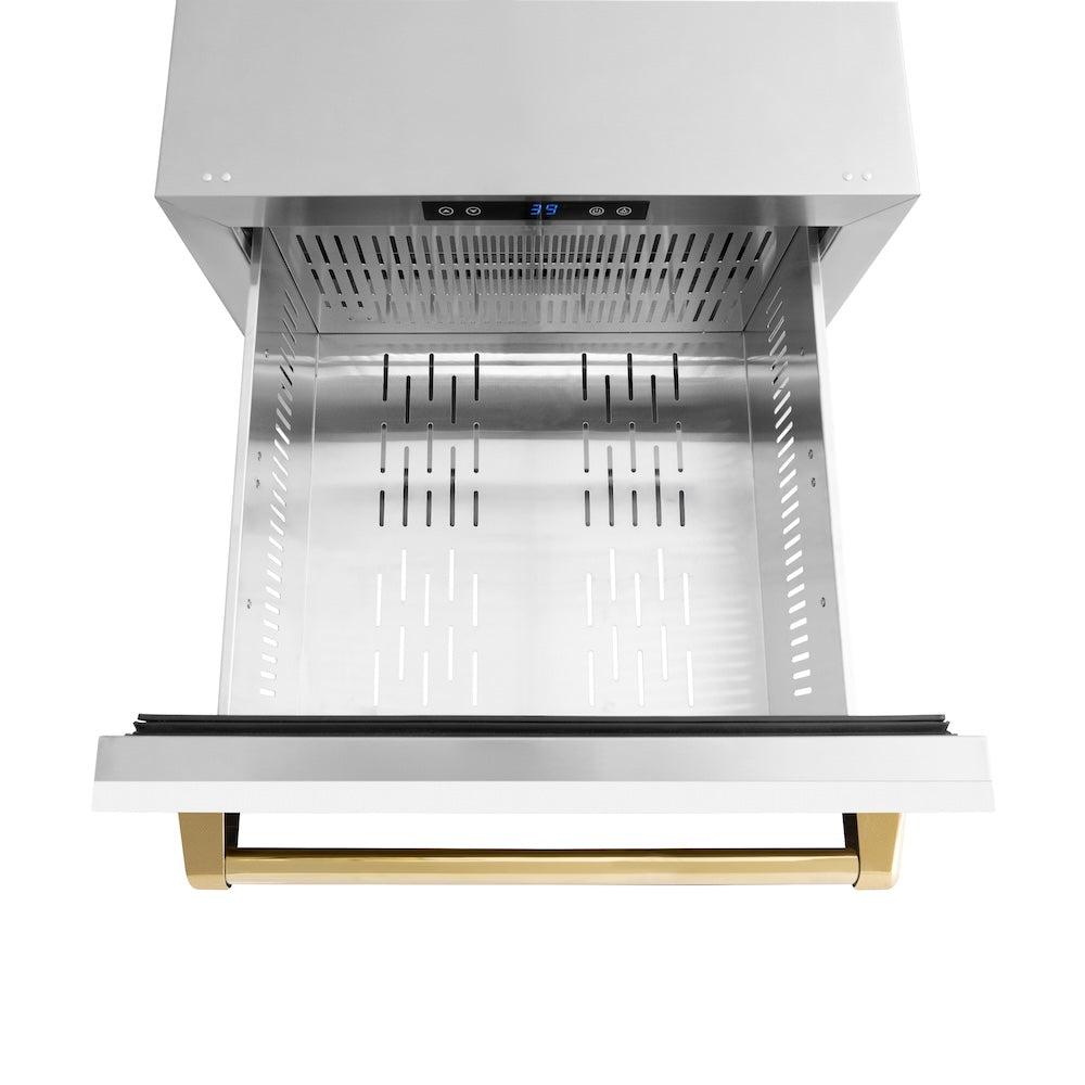 ZLINE Autograph Edition Touchstone 24-inch refrigerator in white matte and polished gold accents RDSOZ-WM-24-G, detail