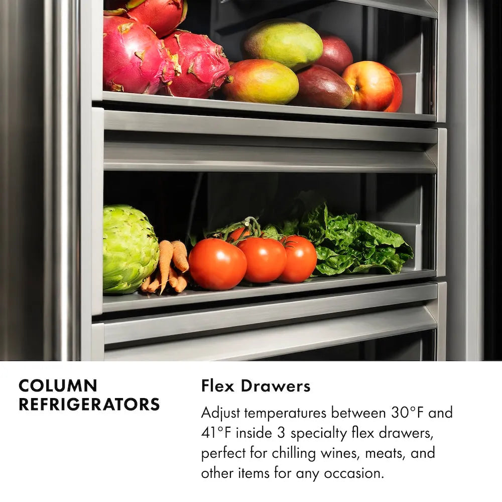 ZLINE 24-inch refrigerator, panel ready with graphite gray interior RBCRV-24, view 4