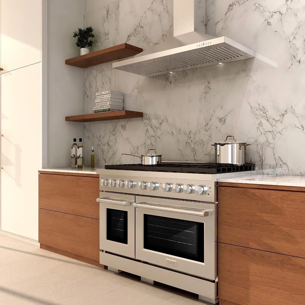 ZLINE Paramount 48-inch range in stainless steel SDR48, view 2