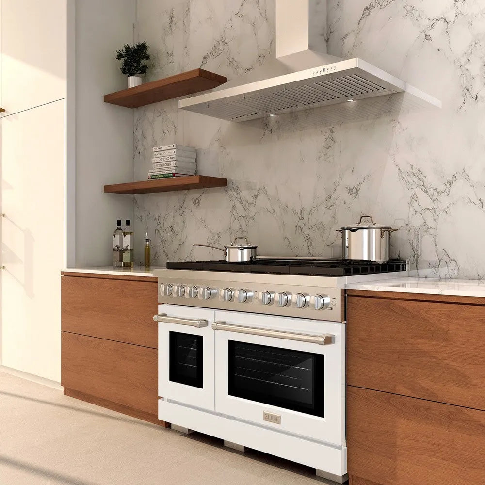 ZLINE Paramount 48-inch range in stainless steel with white matte door SDR-WM-48, view 2